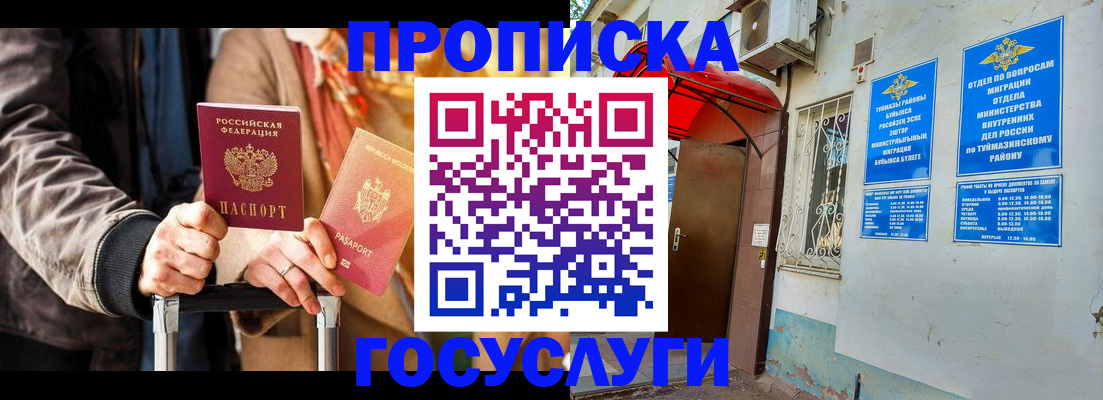 прописка гарантия в Братске